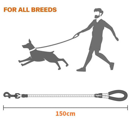 Laisse réfléchissante pour chien, corde de Traction, pour la sécurité des grands, petits et moyens chiens, poignée rembourrée confortable et Durable, accessoires pour animaux de compagnie - Animaleriex