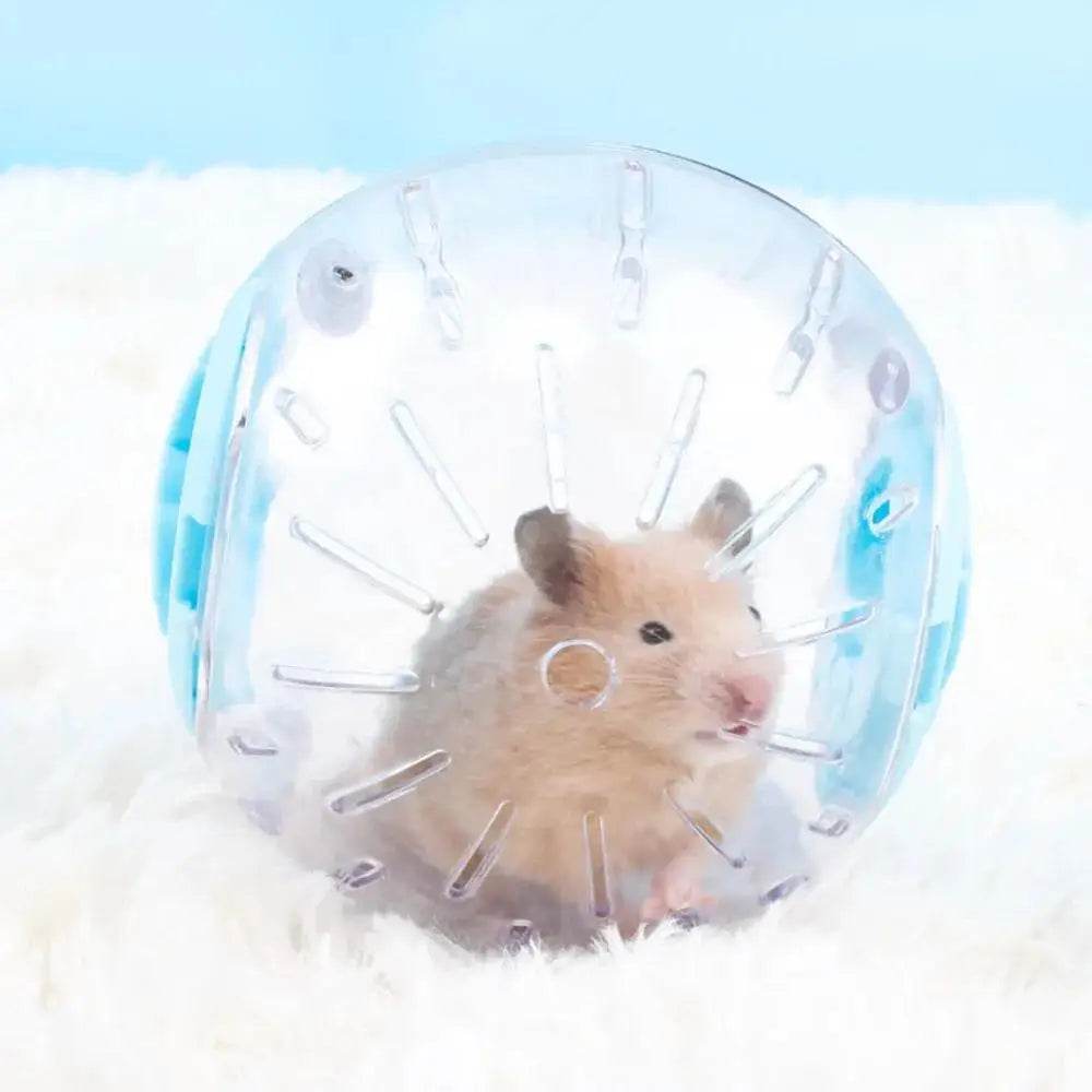 Balle de Sport en plastique en plein air pour Rat, petite souris pour animaux de compagnie, balle de Jogging, jouet Hamster gerbille, balle d'exercice, jouet de jeu, fournitures pour petits animaux de compagnie - Animaleriex