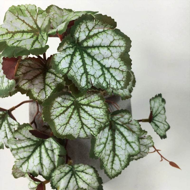 Plante de Terrarium artificielle pour amphibiens de reptiles, pour réservoir, décorations d'habitat pour animaux de compagnie, feuilles tropicales réalistes, feuille en plastique, rotin - Animaleriex