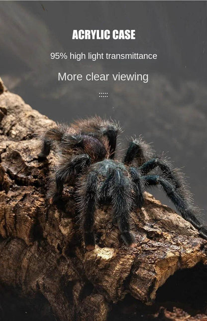 Boîte d'élevage de Terrarium pour reptiles, boîtier en acrylique, boîtier Nano arboricole pour tarentule, araignée, Scorpion, Dragon barbu - Animaleriex