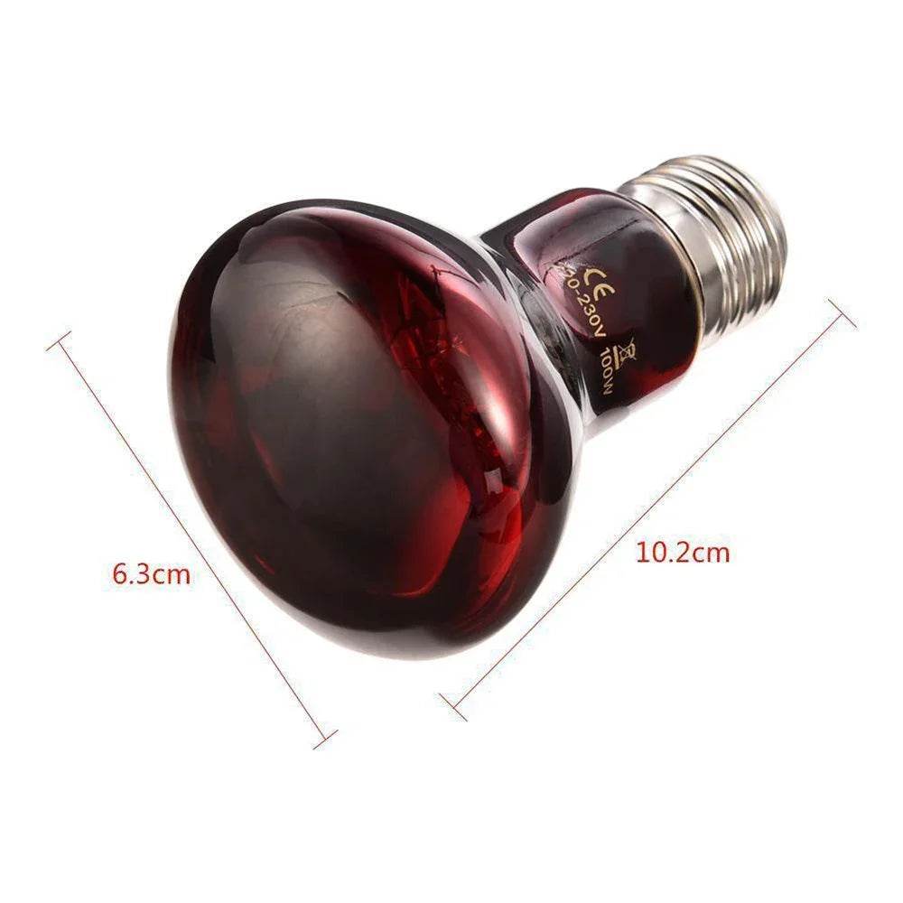Lampe chauffante rouge amphibie UVA 220V, 25/40/50/60/75/100W, lampe infrarouge, ampoule en verre, accessoires pour Reptiles, serpents, lézards - Animaleriex