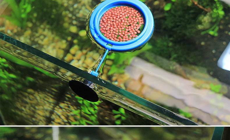 Anneau d'alimentation pour poissons d'aquarium, équipé de ventouses, Portable, circulaire et carré, mangeoire pour animaux aquatiques, outils d'alimentation pour Aquarium - Animaleriex