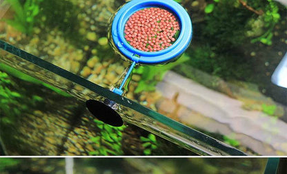 Anneau d'alimentation pour poissons d'aquarium, équipé de ventouses, Portable, circulaire et carré, mangeoire pour animaux aquatiques, outils d'alimentation pour Aquarium - Animaleriex