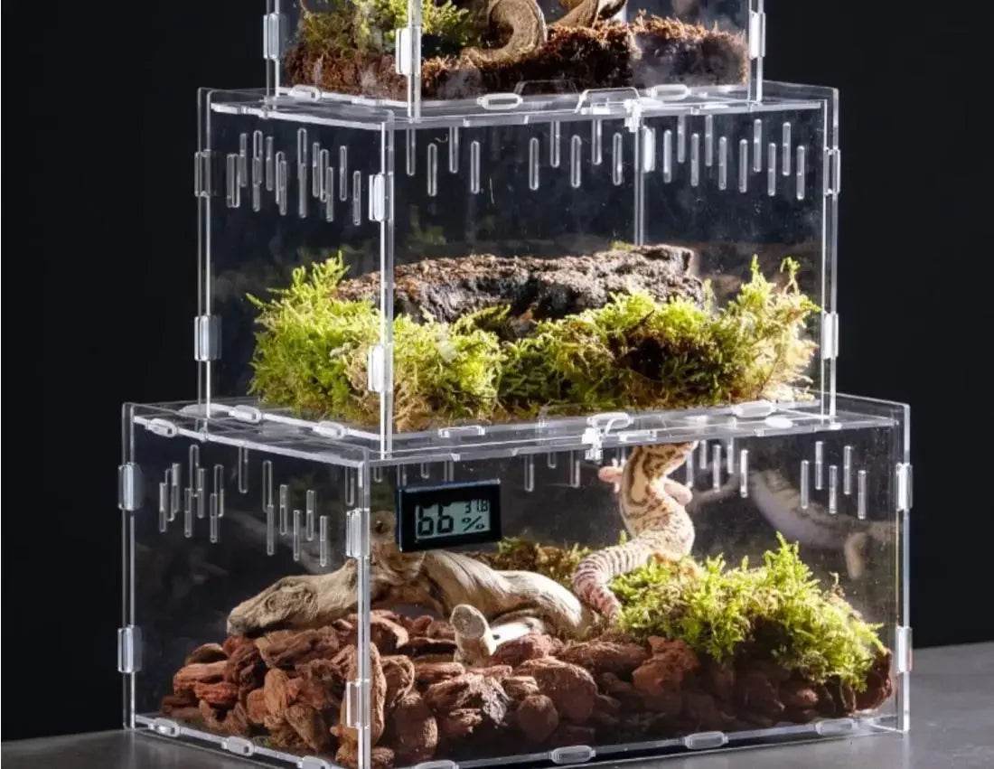 Boîte d'élevage de Terrarium pour reptiles, boîtier en acrylique, boîtier Nano arboricole pour tarentule, araignée, Scorpion, Dragon barbu - Animaleriex
