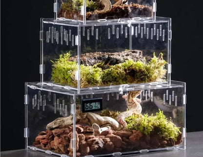 Boîte d'élevage de Terrarium pour reptiles, boîtier en acrylique, boîtier Nano arboricole pour tarentule, araignée, Scorpion, Dragon barbu - Animaleriex
