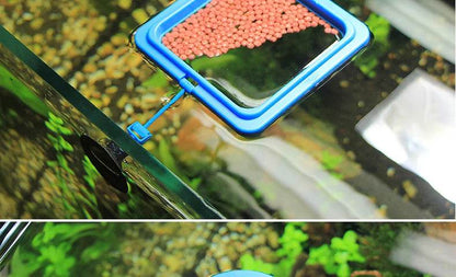 Anneau d'alimentation pour poissons d'aquarium, équipé de ventouses, Portable, circulaire et carré, mangeoire pour animaux aquatiques, outils d'alimentation pour Aquarium - Animaleriex