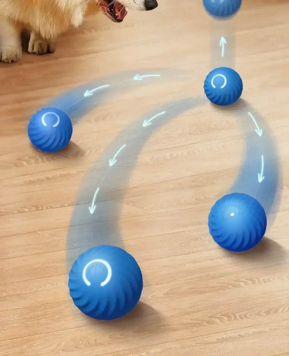 Balle électronique Interactive pour animaux de compagnie, jouet interactif pour chien, intelligent, mobile, saut par gravité, produits pour animaux de compagnie, Rechargeable - Animaleriex