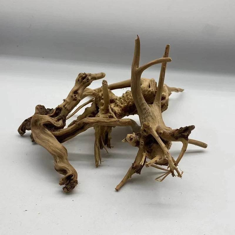 Tronc d'arbre naturel bois flotté Aquarium Aquarium plante bois décoration ornement Aquarium décoration Aquarium accessoires - Animaleriex
