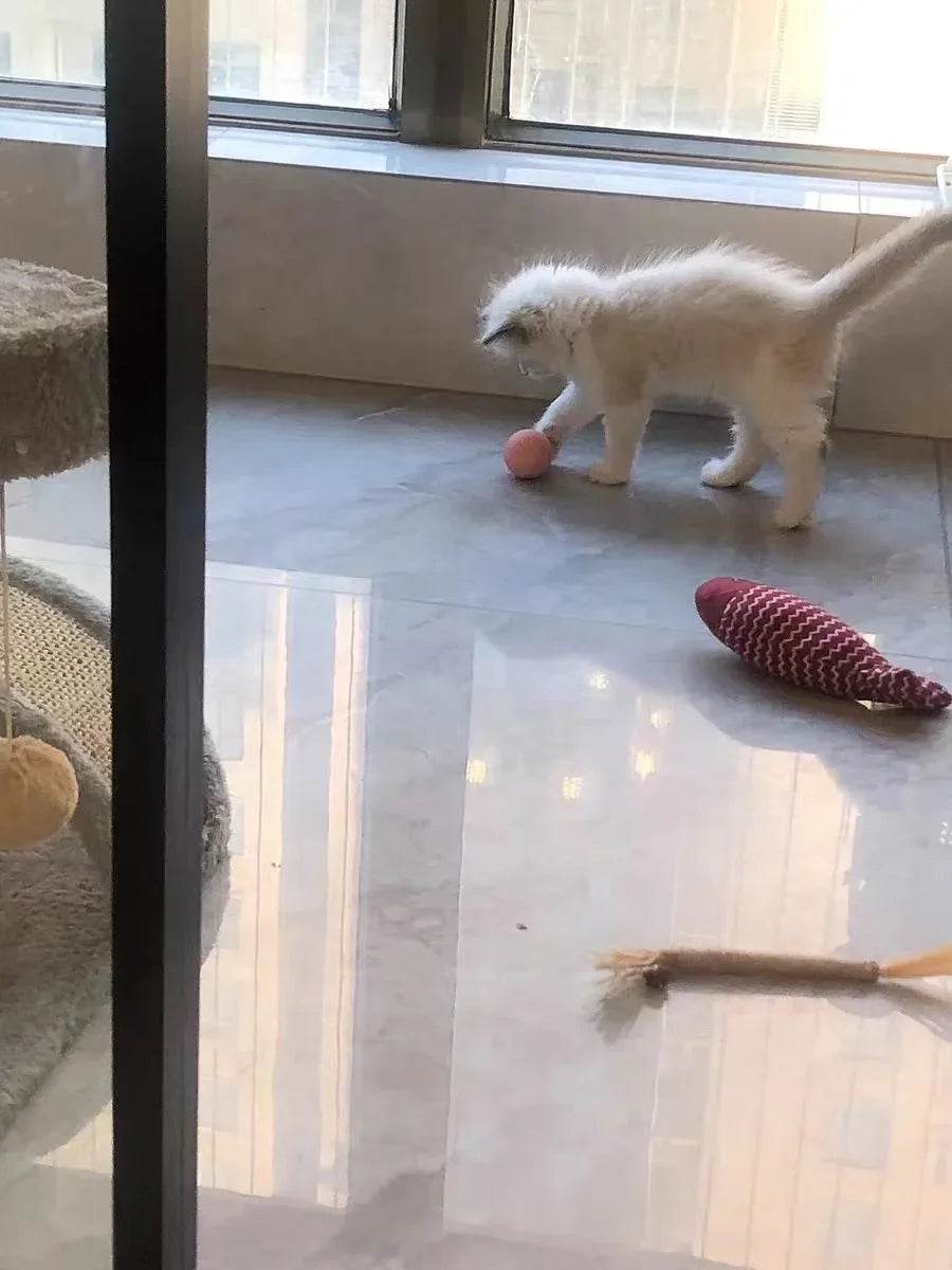 Balle Interactive pour chat, jouets intelligents pour animaux de compagnie, boule magique à roulement automatique d'intérieur, jouet interactif électronique, accessoires de jeu pour chat - Animaleriex