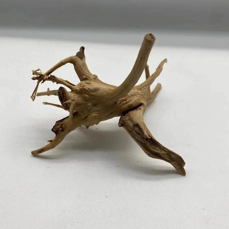 Tronc d'arbre naturel bois flotté Aquarium Aquarium plante bois décoration ornement Aquarium décoration Aquarium accessoires - Animaleriex