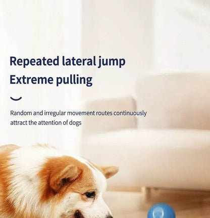 Balle électronique Interactive pour animaux de compagnie, jouet interactif pour chien, intelligent, mobile, saut par gravité, produits pour animaux de compagnie, Rechargeable - Animaleriex