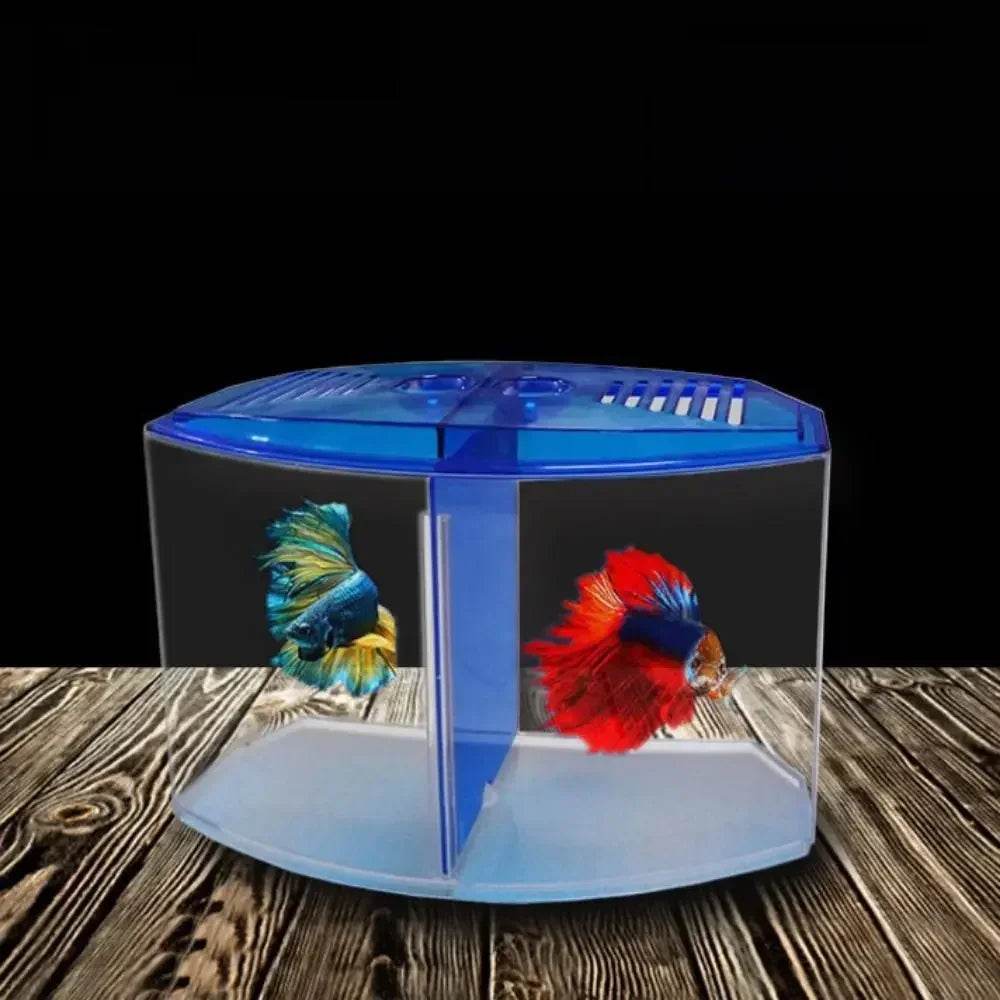 Aquarium Betta Transparent avec herbe aquatique, boîte d'isolation Betta en plastique à Double grille, grille simple et Double - Animaleriex
