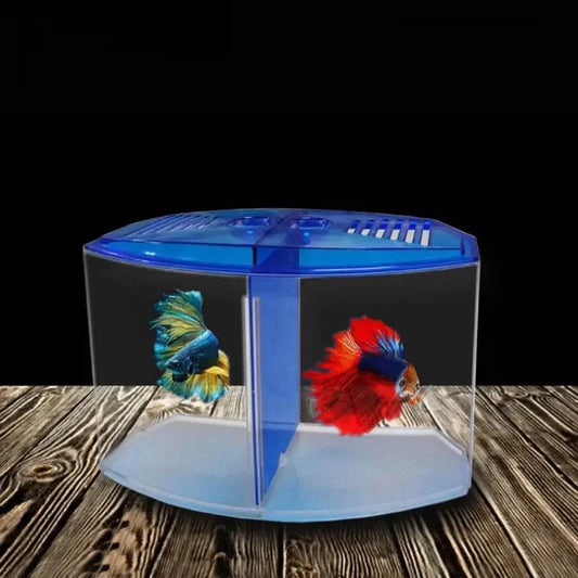 Aquarium Betta Transparent avec herbe aquatique, boîte d'isolation Betta en plastique à Double grille, grille simple et Double - Animaleriex