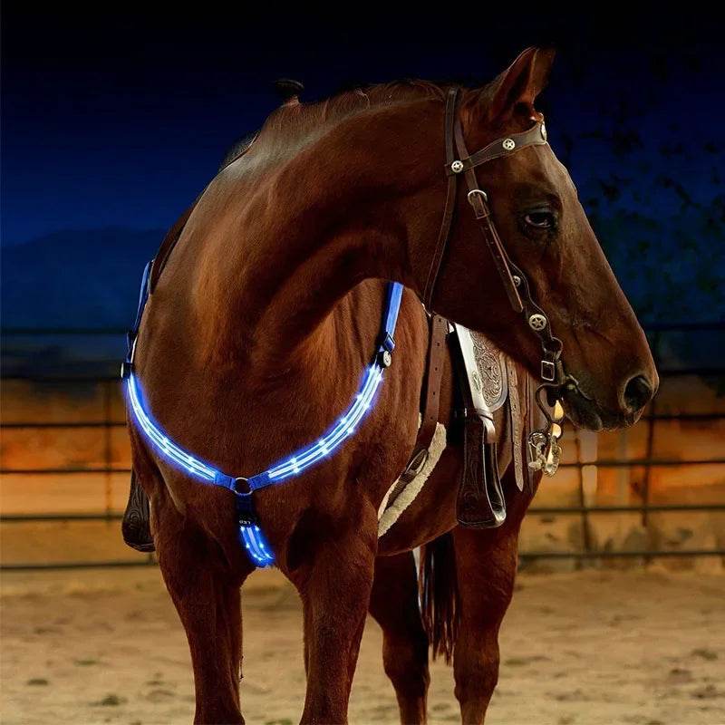 Sangles de poitrine de cheval LED 100CM, décoration d'équitation, Tubes lumineux, licou de selle équestre, produits de soins pour chevaux - Animaleriex