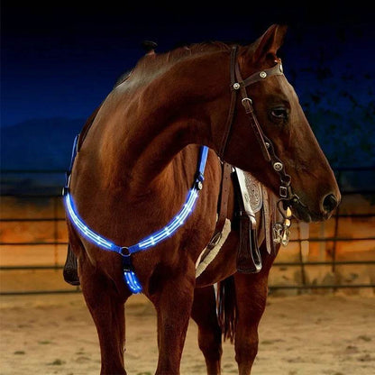 Sangles de poitrine de cheval LED 100CM, décoration d'équitation, Tubes lumineux, licou de selle équestre, produits de soins pour chevaux - Animaleriex