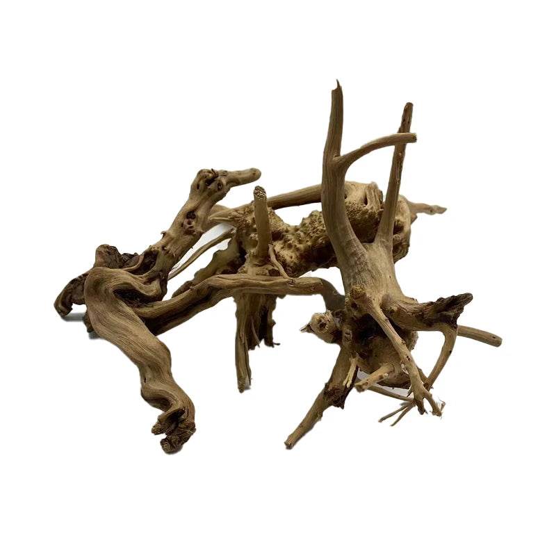 Tronc d'arbre naturel bois flotté Aquarium Aquarium plante bois décoration ornement Aquarium décoration Aquarium accessoires - Animaleriex