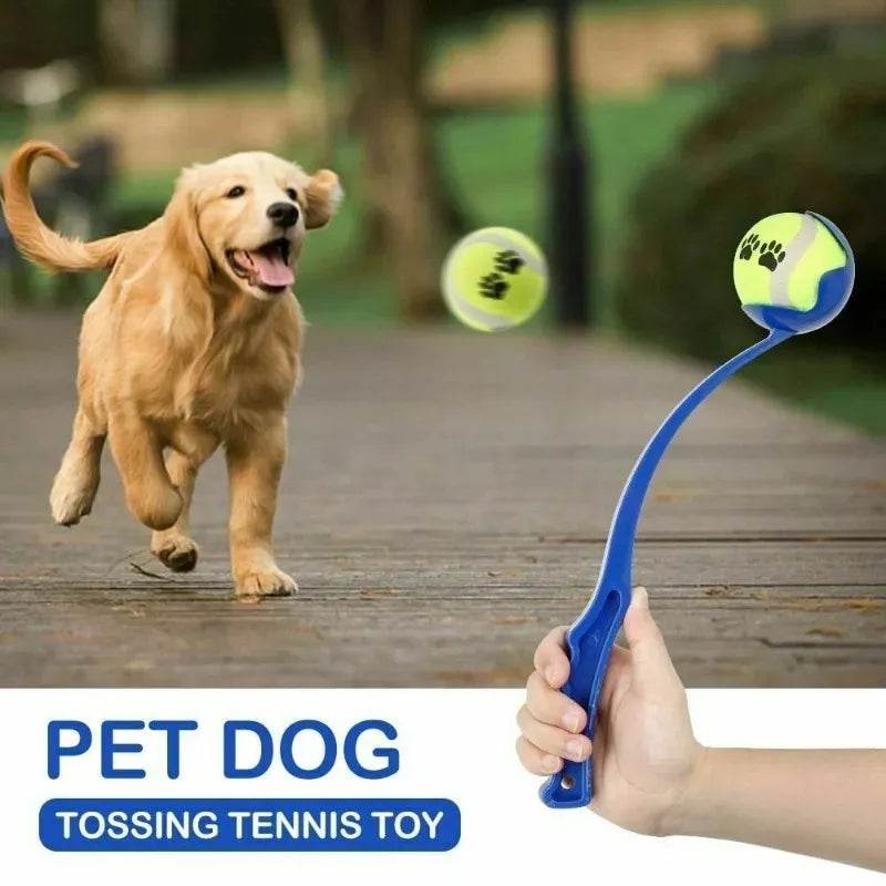 Bâton de lancer pour animaux de compagnie, balle à lancer à la main pour chien, jouets, pôle de lancement de Tennis pour animaux de compagnie, activités de plein air, jouets d'entraînement pour chiens, fournitures pour animaux de compagnie - Animaleriex