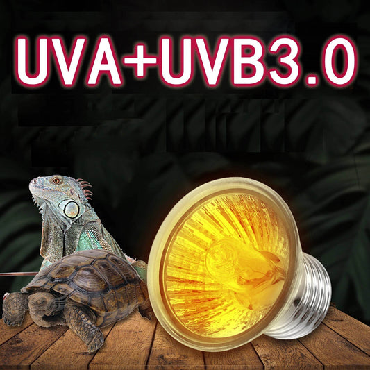 25/50/75W UVA + UVB 3.0 lampe Reptile ampoule tortue se prélasser UV ampoules lampe chauffante amphibiens lézards régulateur de température 1Pc - Animaleriex