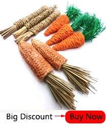 Professionnel Hamster lapin dents meulage pommier bâton minéraux molaire pierre jouets pour Chinchilla Hamster PetToys accessoires - Animaleriex