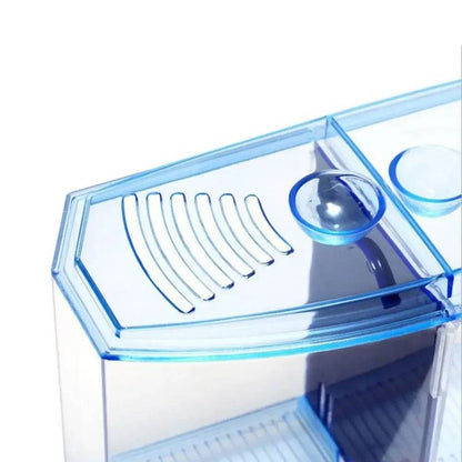 Aquarium Betta Transparent avec herbe aquatique, boîte d'isolation Betta en plastique à Double grille, grille simple et Double - Animaleriex