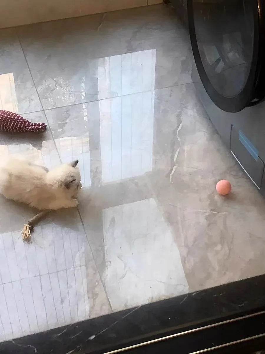 Balle Interactive pour chat, jouets intelligents pour animaux de compagnie, boule magique à roulement automatique d'intérieur, jouet interactif électronique, accessoires de jeu pour chat - Animaleriex