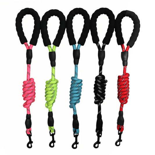 Laisse réfléchissante pour chien 1,5 m Laisse en nylon pour chien Poignée rembourrée confortable Marche en plein air Petit Moyen Grand Accessoires pour chiens Fournitures - Animaleriex