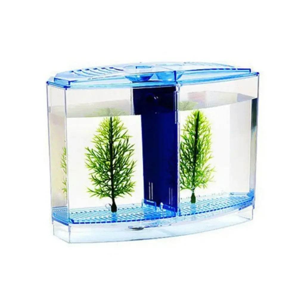 Aquarium Betta Transparent avec herbe aquatique, boîte d'isolation Betta en plastique à Double grille, grille simple et Double - Animaleriex