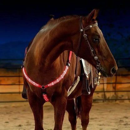 Sangles de poitrine de cheval LED 100CM, décoration d'équitation, Tubes lumineux, licou de selle équestre, produits de soins pour chevaux - Animaleriex