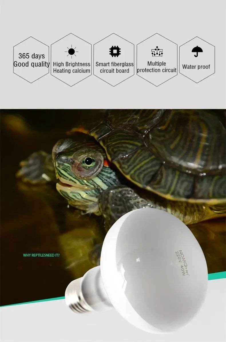 25W-100W Reptile UVA + UVB lampe ampoule tortue se prélasser UV ampoules lampe chauffante tortue lézards Terrarium régulateur de température - Animaleriex