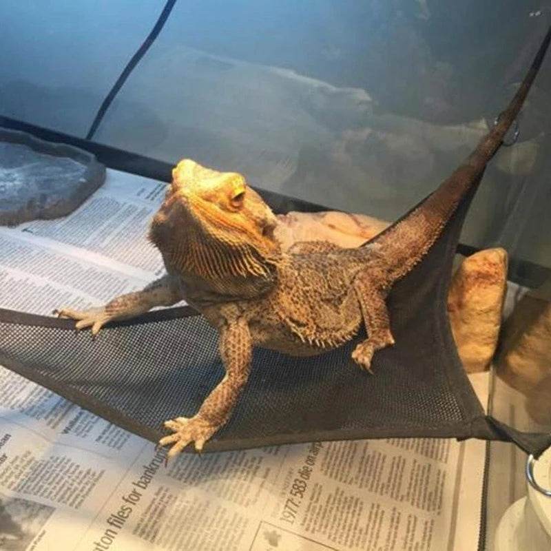 Ensemble d'accessoires d'échelle de chaise longue de hamac de Reptile pour les grands petits dragons barbus Anole Geckos lézards ou serpents accessoire de Reptile - Animaleriex