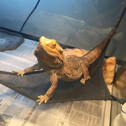 Ensemble d'accessoires d'échelle de chaise longue de hamac de Reptile pour les grands petits dragons barbus Anole Geckos lézards ou serpents accessoire de Reptile - Animaleriex