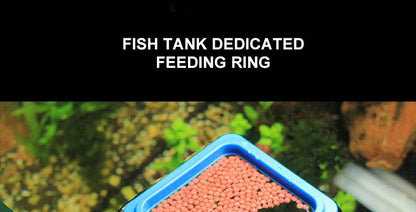 Anneau d'alimentation pour poissons d'aquarium, équipé de ventouses, Portable, circulaire et carré, mangeoire pour animaux aquatiques, outils d'alimentation pour Aquarium - Animaleriex