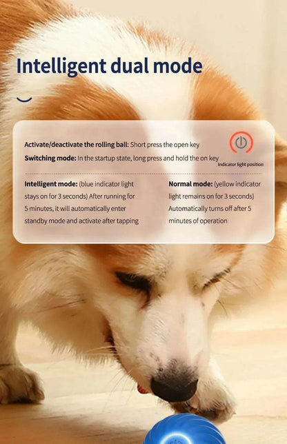 Balle électronique Interactive pour animaux de compagnie, jouet interactif pour chien, intelligent, mobile, saut par gravité, produits pour animaux de compagnie, Rechargeable - Animaleriex