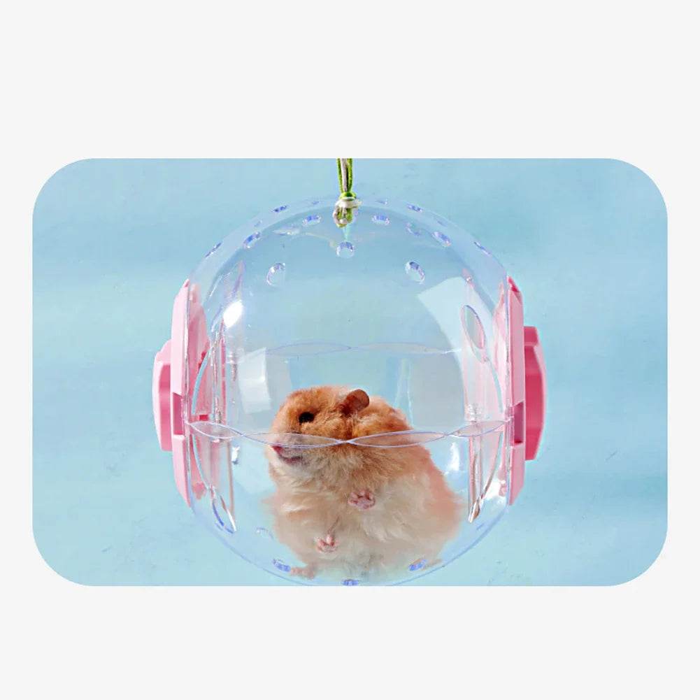 Balle d'exercice pour Hamster 14cm/18/cm, boule de course transparente avec corde de Traction pour petits animaux, fournitures pour animaux de compagnie - Animaleriex