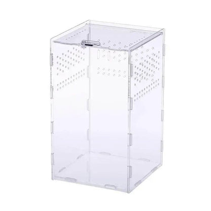Boîte d'élevage de Terrarium pour reptiles, boîtier en acrylique, boîtier Nano arboricole pour tarentule, araignée, Scorpion, Dragon barbu - Animaleriex