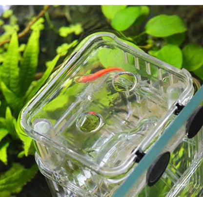 Boîte d'isolation multifonctionnelle pour l'élevage de poissons d'aquarium, incubateur d'aquarium à haute transparence, Double Guppies, incubateur d'éclosion - Animaleriex
