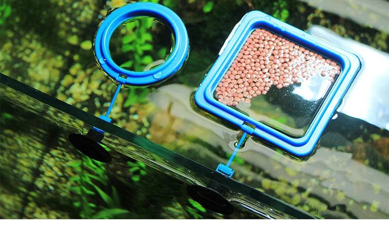 Anneau d'alimentation pour poissons d'aquarium, équipé de ventouses, Portable, circulaire et carré, mangeoire pour animaux aquatiques, outils d'alimentation pour Aquarium - Animaleriex