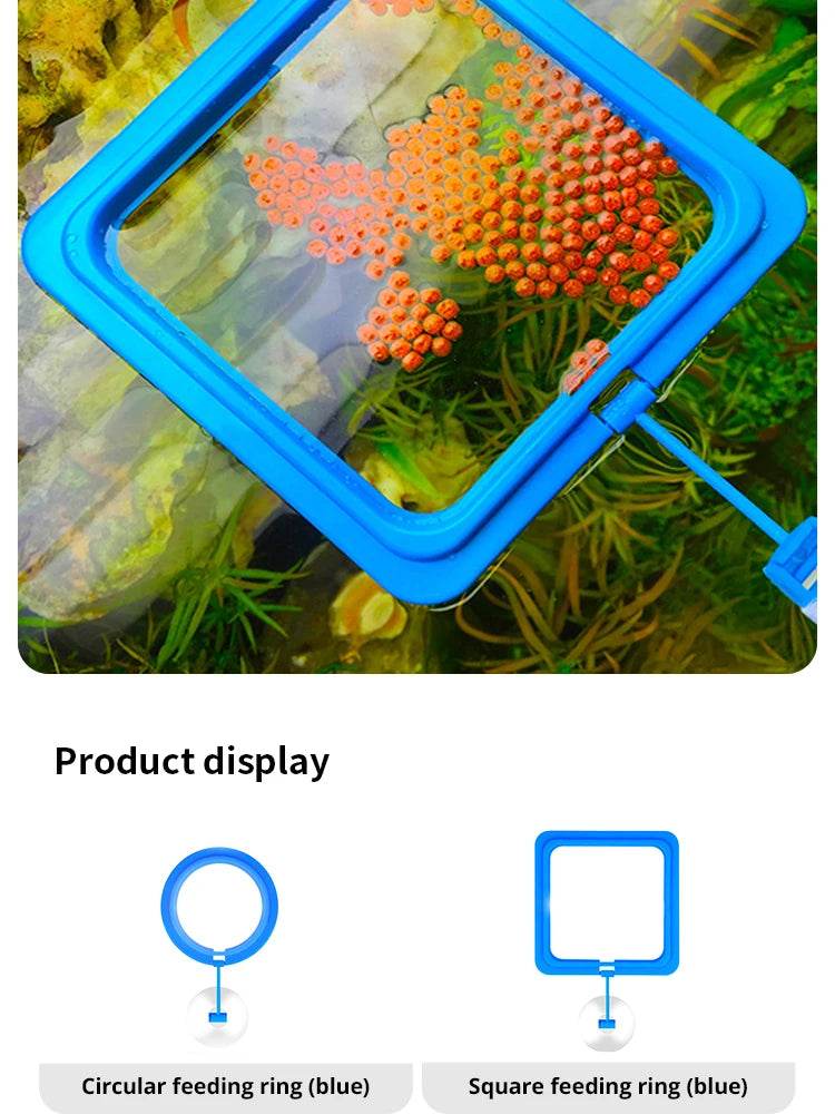 Anneau d'alimentation flottant pour poissons, Station d'aquarium à cercle carré avec ventouse, distributeur de nourriture facile, conception peu encombrante - Animaleriex