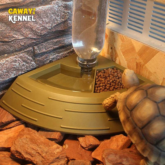 Mangeoire automatique pour reptiles, couleur aléatoire, bol d'eau pour lézard, plat d'angle avec bouteille d'eau pour animaux de compagnie, tortue, crinière, Lion, Gecko, lézard, 1 pièce - Animaleriex