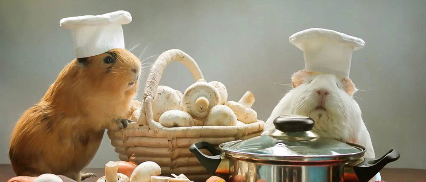 Coussin chauffant pour animaux de compagnie, 30x30cm, 10 pièces, en mousse EVA, cochon d'inde, Hamster, tapis de couchage doux, lapin, couverture, lit, accessoires pour animaux de compagnie - Animaleriex