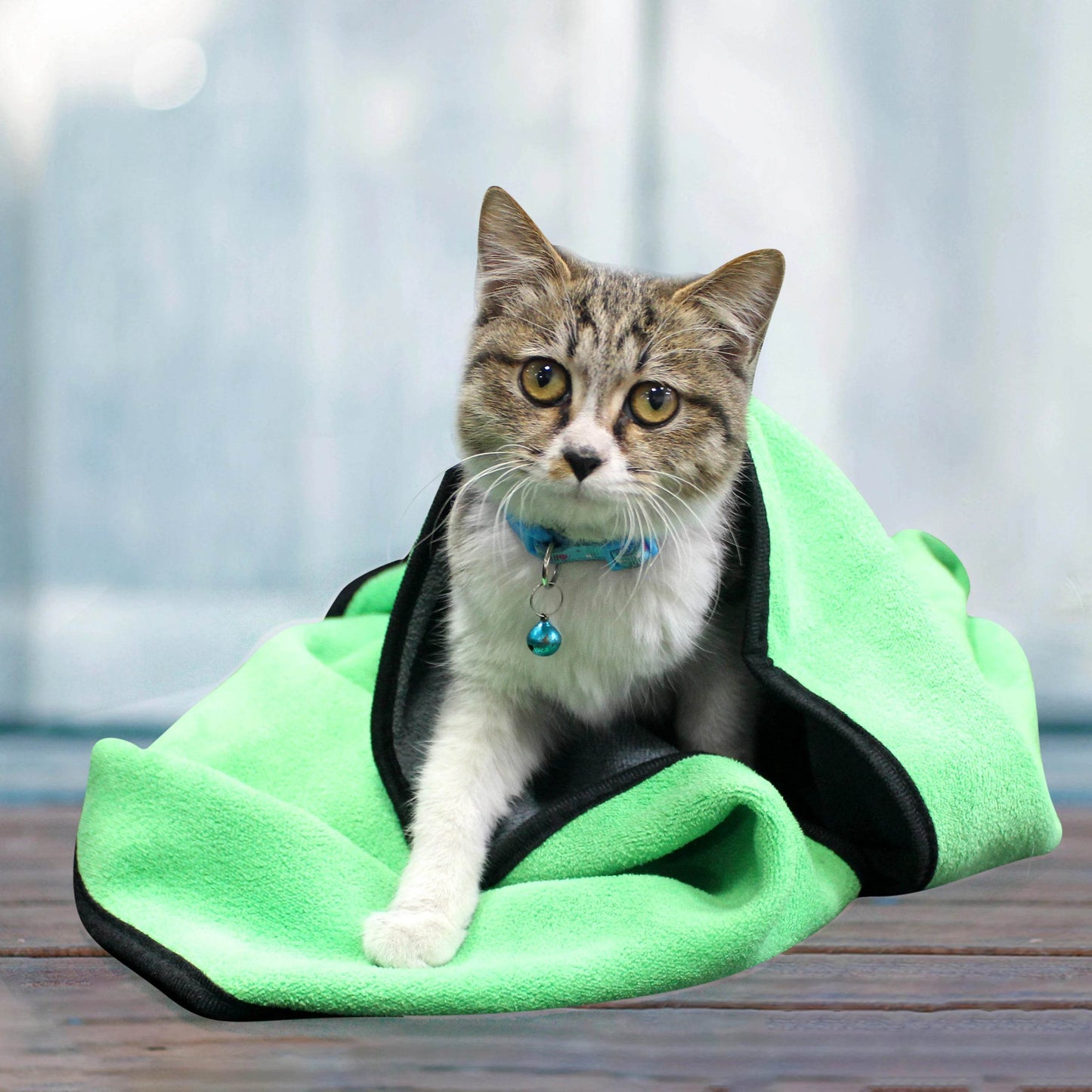 Serviette de bain absorbante pour animaux de compagnie, à séchage rapide, pour chiens et chats, en Fiber douce et non pelucheuse, couverture pour animaux de compagnie, fournitures pour animaux de compagnie - Animaleriex