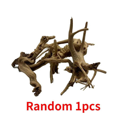 Tronc d'arbre naturel bois flotté Aquarium Aquarium plante bois décoration ornement Aquarium décoration Aquarium accessoires - Animaleriex