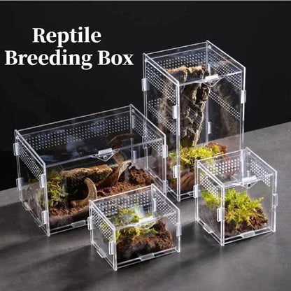 Boîte d'élevage de Terrarium pour reptiles, boîtier en acrylique, boîtier Nano arboricole pour tarentule, araignée, Scorpion, Dragon barbu - Animaleriex