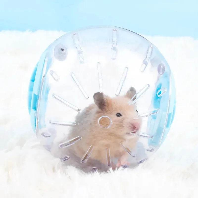Balle de Sport en plastique en plein air pour Rat, petite souris pour animaux de compagnie, balle de Jogging, jouet Hamster gerbille, balle d'exercice, jouet de jeu, fournitures pour petits animaux de compagnie - Animaleriex