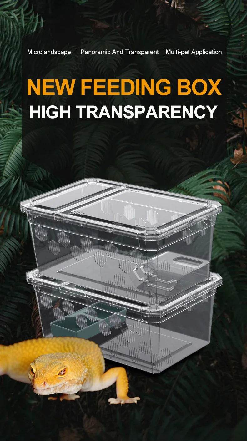 Cage d'élevage de reptiles en plastique transparent, vivariums avec balcon, fournitures de lézard, bivarium pour insectes, araignées, tortues - Animaleriex