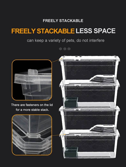 Cage d'élevage de reptiles en plastique transparent, vivariums avec balcon, fournitures de lézard, bivarium pour insectes, araignées, tortues - Animaleriex