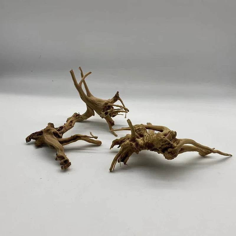 Tronc d'arbre naturel bois flotté Aquarium Aquarium plante bois décoration ornement Aquarium décoration Aquarium accessoires - Animaleriex