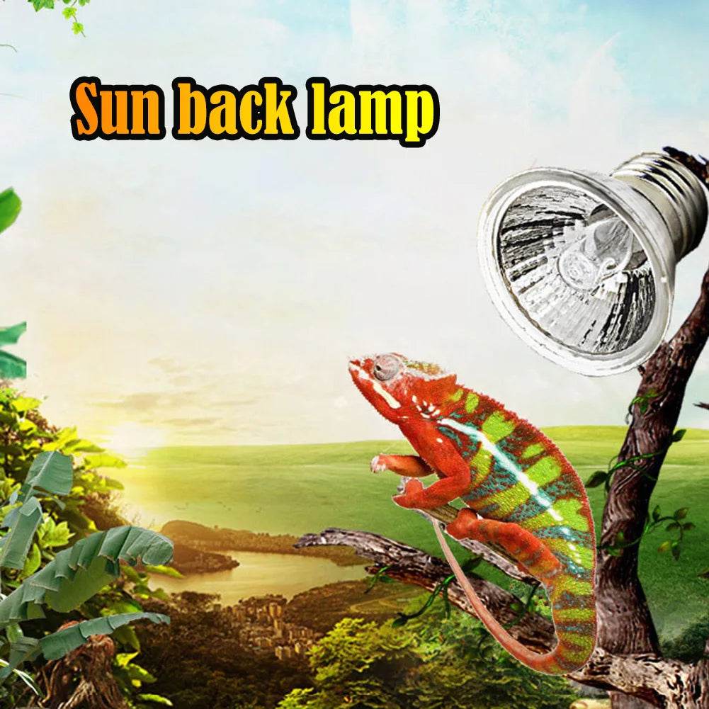 1-10 pièces 25/50/75W UVA + UVB lampe Reptile ampoule tortue se prélasser UV ampoules lumière chauffante spectre complet lampe solaire pour amphibiens - Animaleriex