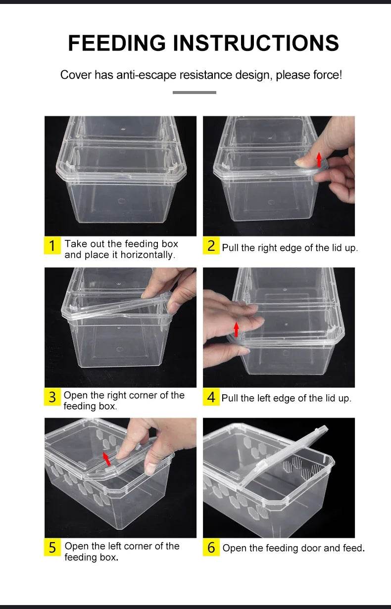 Cage d'élevage de reptiles en plastique transparent, vivariums avec balcon, fournitures de lézard, bivarium pour insectes, araignées, tortues - Animaleriex