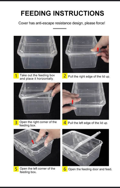 Cage d'élevage de reptiles en plastique transparent, vivariums avec balcon, fournitures de lézard, bivarium pour insectes, araignées, tortues - Animaleriex